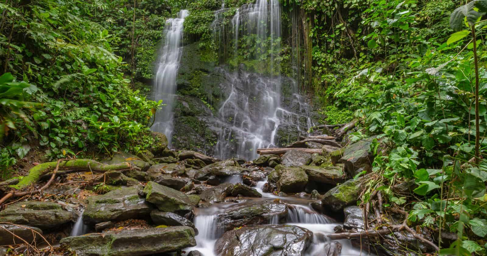 Waterfall in lush Costa Rican rainforest